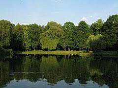 Park Górnik